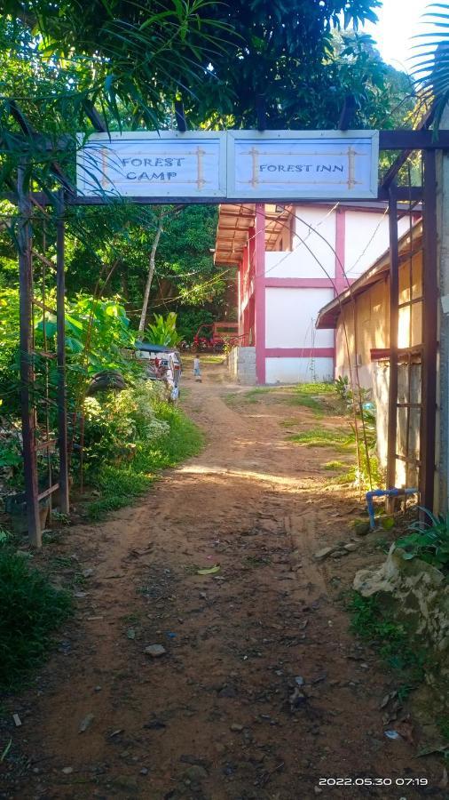 Forest Inn 엘니도 외부 사진
