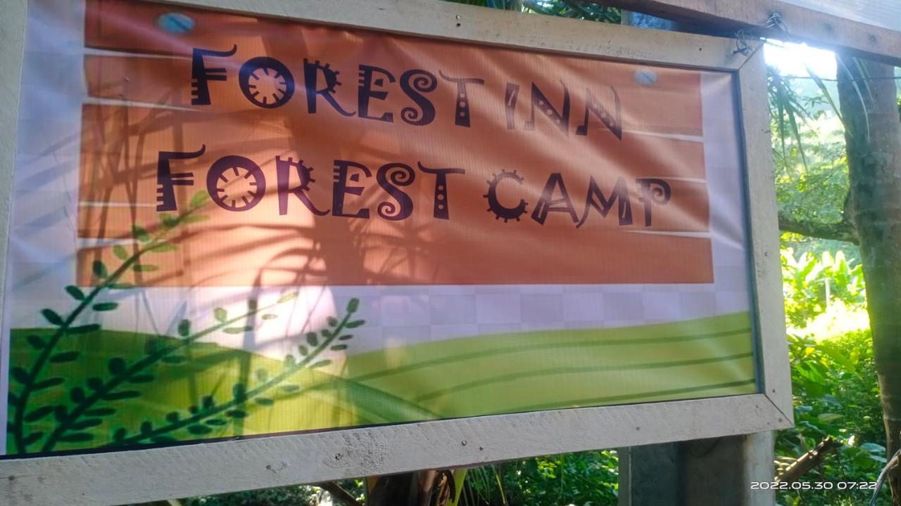 Forest Inn 엘니도 외부 사진